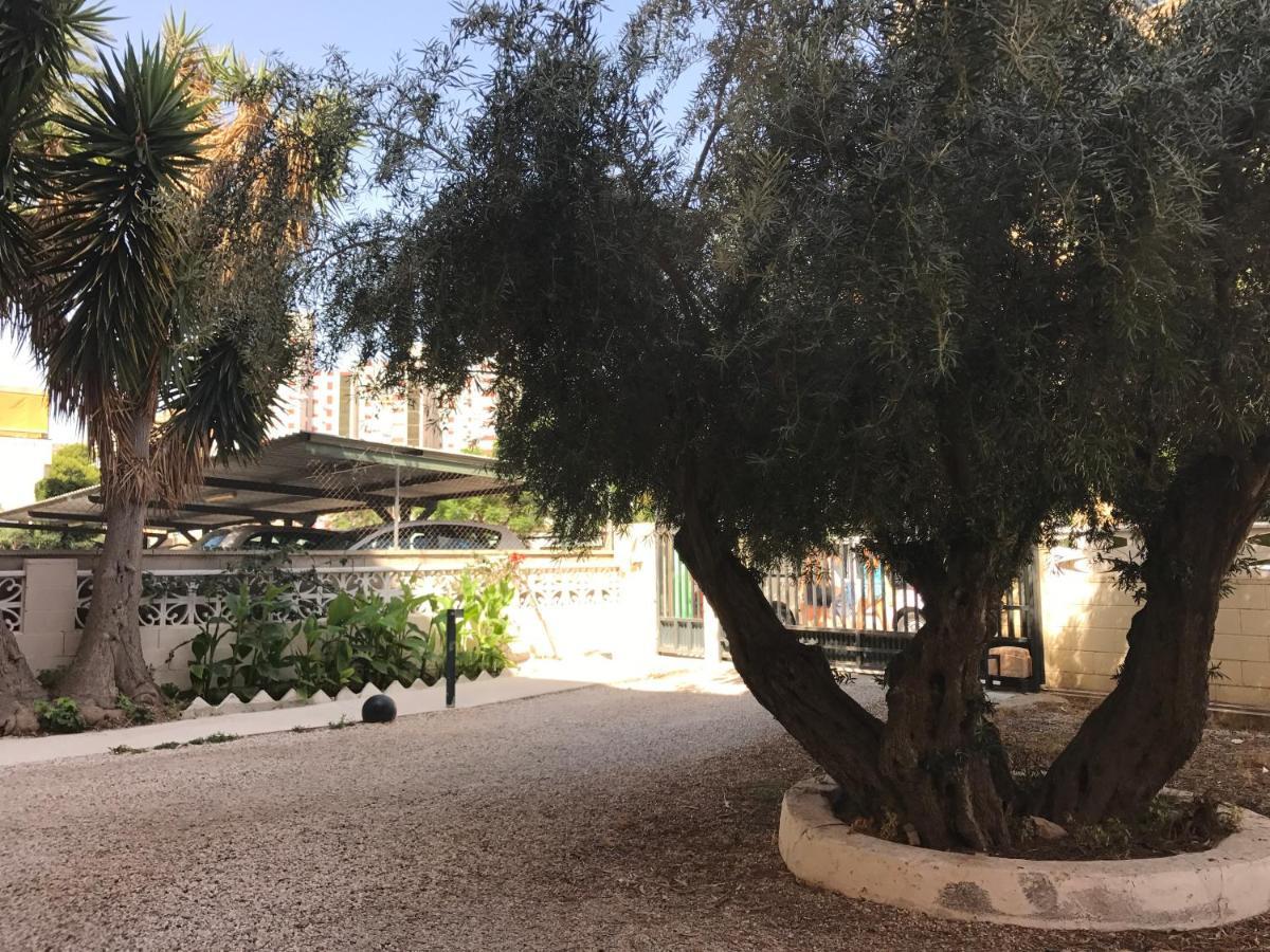 Apartamento En La Playa - Alicante, Costa Blanca - Los Olivos Εξωτερικό φωτογραφία